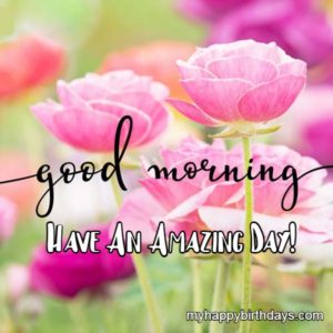 200+ Romantic Good Morning Wishes With Roses, Flowers (HD)