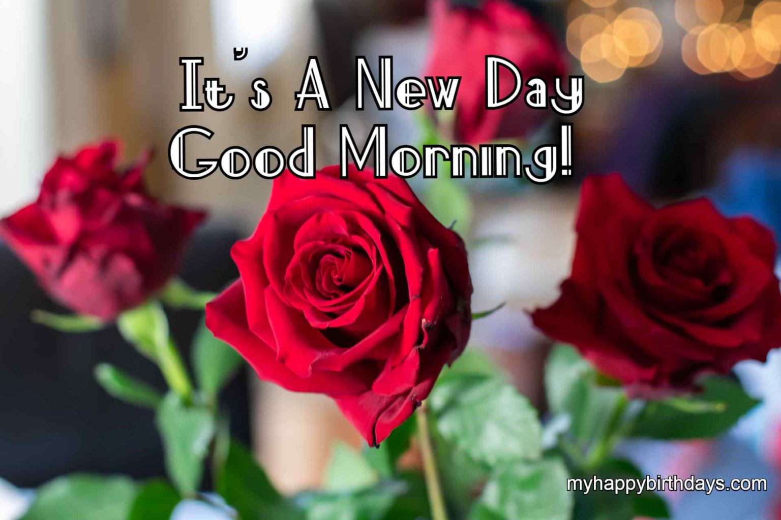 Romantic Good Morning Wishes With Roses Flowers Hd