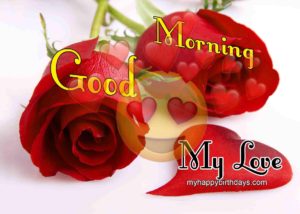 200+ Romantic Good Morning Wishes With Roses, Flowers (HD)