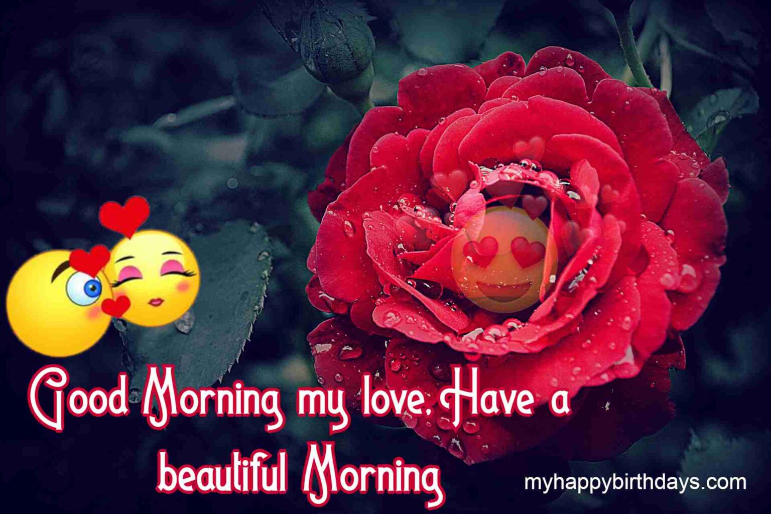 200 Romantic Good Morning Wishes With Roses Flowers HD 