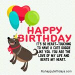 102 Happy Birthday Dog Wishes | Cute Doggie Birthday Wishes