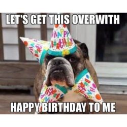 102 Happy Birthday Dog Wishes | Cute Doggie Birthday Wishes