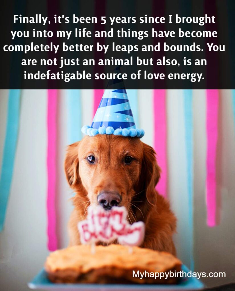 102 Happy Birthday Dog Wishes | Cute Doggie Birthday Wishes – Best ...
