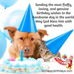 102 Happy Birthday Dog Wishes | Cute Doggie Birthday Wishes