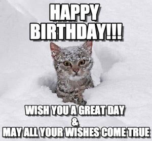 105 Funny Happy Birthday Cat Memes to Make Your Special Day Laughable