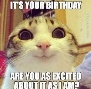 105 Funny Happy Birthday Cat Memes to Make Your Special Day Laughable