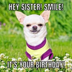 65+ Funny Happy Birthday Sister Memes For Naughty Sister